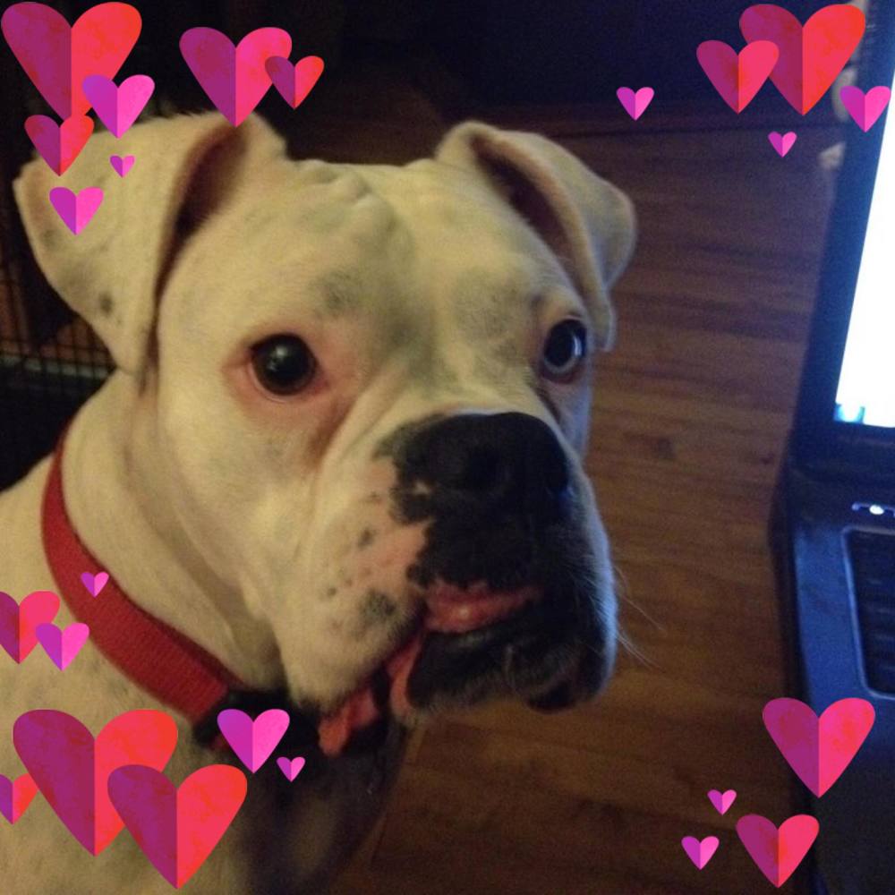 Meet your Posher, Leigh